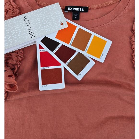 Express Rust Puff Sleeve Eyelet Tee - Picture 4 of 6